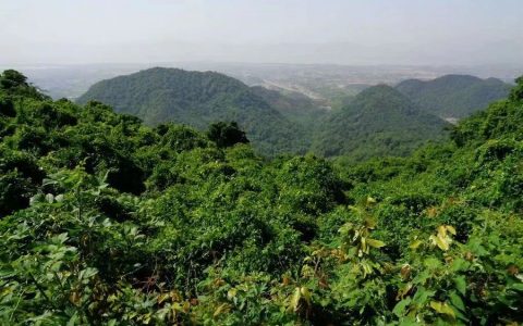 這是一座石頭成就的寺院，精美的石頭會說話